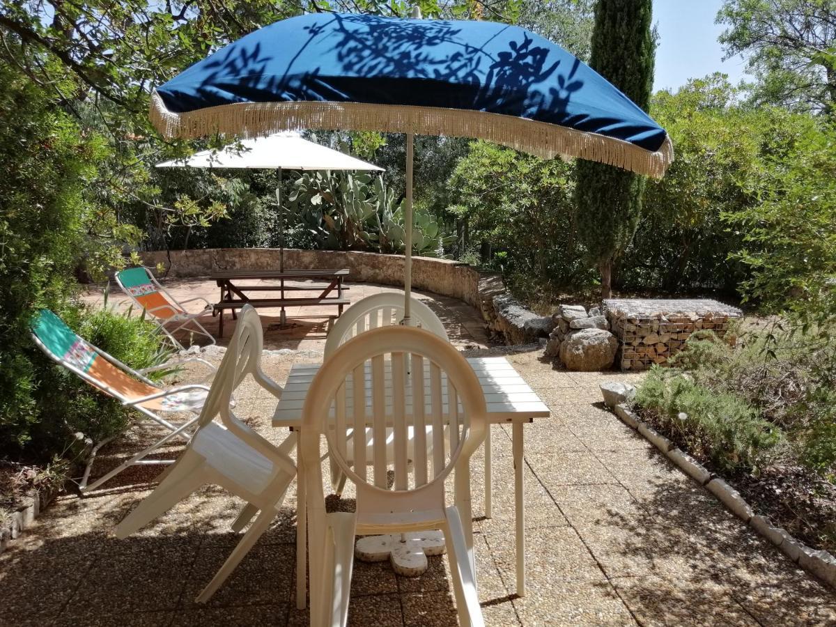 T2 36 M2, Rdc De Villa, Clim, Gd Jardin Clos, Animx Ok, Quartier Mt Faron Tres Calme, Wifi, Parking Toulon Exterior foto